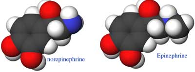 epinophrine