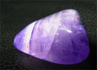 violet-pd