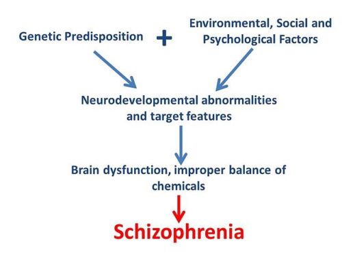 Difference Between Anxiety and Schrizophrenia-1