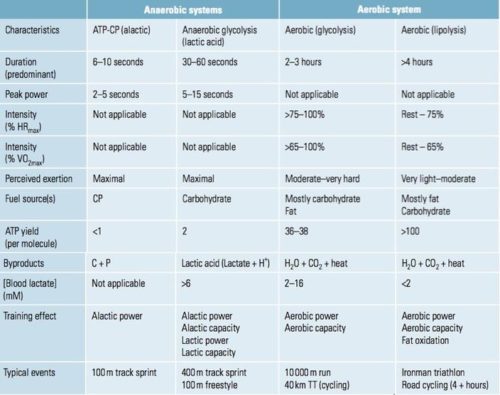 Difference Between Aerobic and Anaerobic Glycolysis