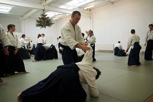 Difference Between Jujitsu and Aikido-1