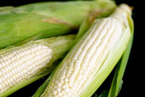 Difference Between White and Yellow Corn