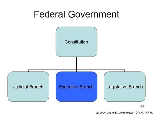 Difference Between Federal and National Government-1