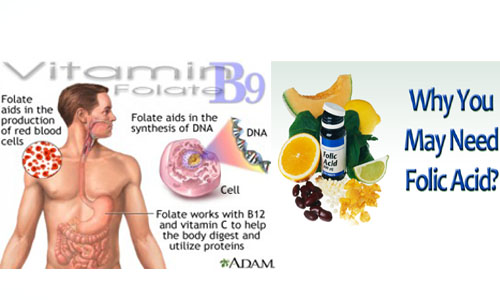 folate and folic acid