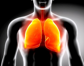 The Difference between Pneumonia and Upper Respiratory Infection