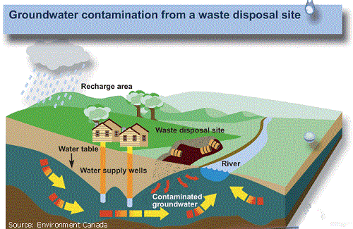 Difference Between Contamination and Pollution