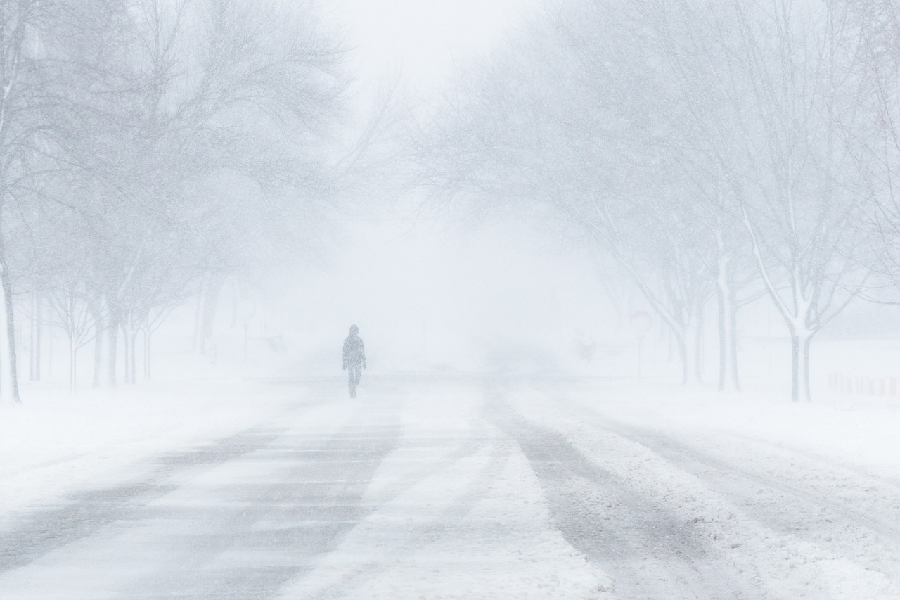 Difference Between Snowstorm And Blizzard Difference Between