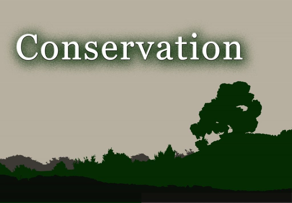Difference Between Conservation and Preservation