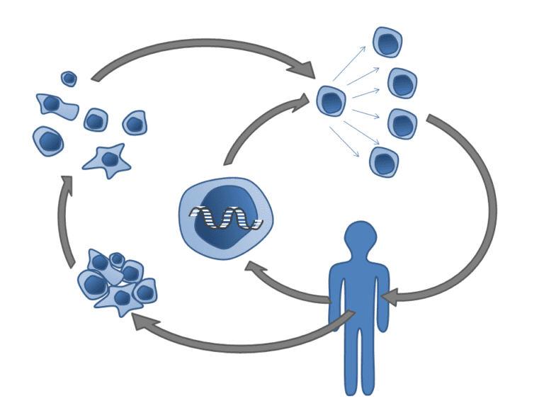 Difference Between T cells and B cells | Difference Between | T cells ...
