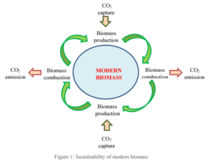 Difference Between Biofuel and Biomass | Difference Between | Biofuel ...