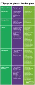 Difference Between T Cells or T Lymphocytes and White Blood Cells or ...