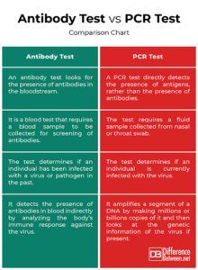 Difference Between Antibody Test and PCR Test | Difference Between ...