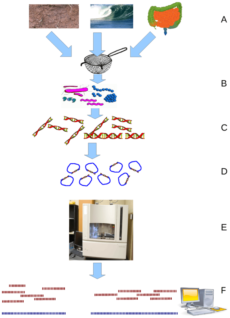 Difference Between Whole Genome Sequencing and Shotgun Sequencing ...