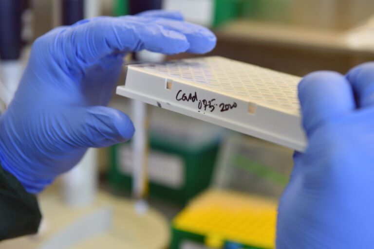 Difference Between Rapid and PCR COVID-19 Test | Difference Between ...