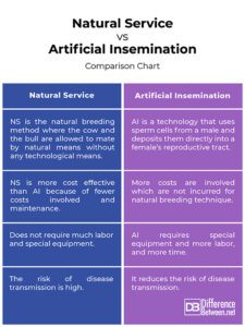 Difference Between Natural Service and Artificial Insemination ...