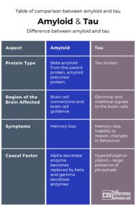 Difference Between Amyloid and Tau | Difference Between | Amyloid vs Tau