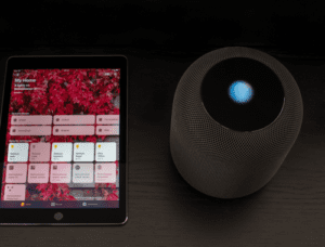 Difference Between HomePod Mini and Echo Dot | Difference Between ...