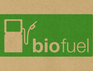 Difference Between Biofuel and Biodiesel | Difference Between | Biofuel ...