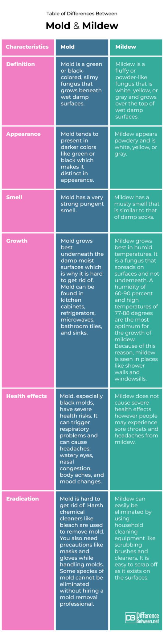 Difference Between Mold and Mildew | Difference Between | Mold vs Mildew